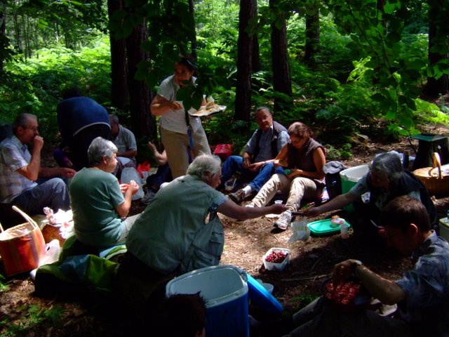 PorteBaudet PiqueNique2